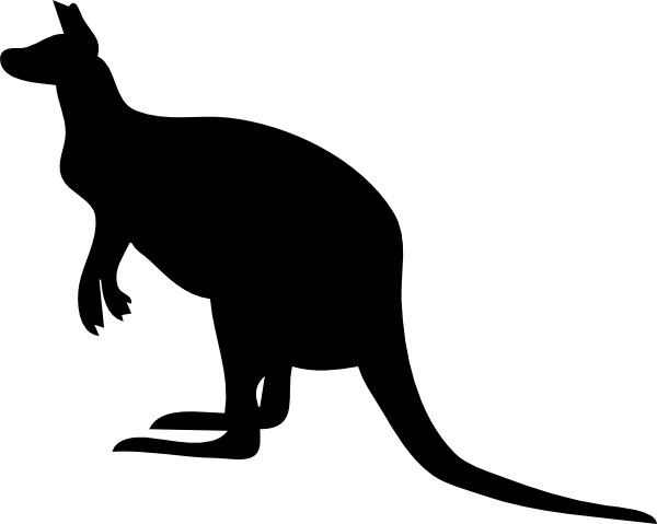 The original image of a kangaroo